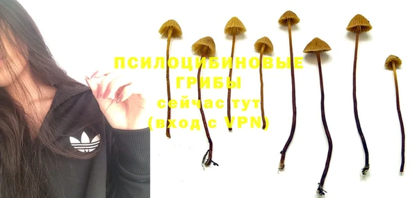 прущая мука Карталы