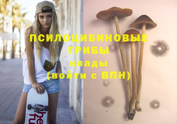 прущая мука Карталы